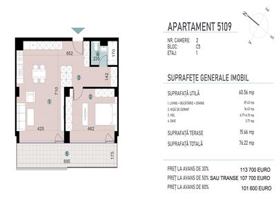 Apartamente cu 2 camere, S43 mp+11 mp terasa, Transilvania Smart City