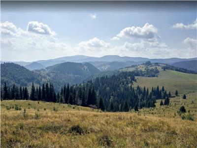 Teren Intravilan, S24000mp, Muntele Bocului, zona Baisoara