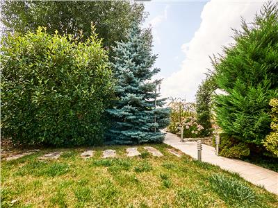 Casa individuala Lux, S258mp, teren 500 mp., Faget, zona Hotel Stil