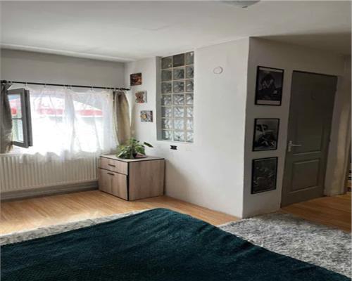 Apartament 1 camera, S 42 mp, Andrei Muresannu, Zona Engels.