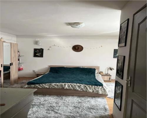 Apartament 1 camera, S- 42 mp, Andrei Muresannu, Zona Engels.