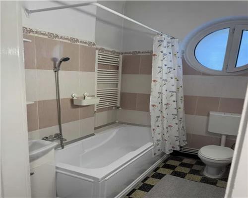 Apartament 1 camera, S 50 mp, mobilat, Ultracentral.