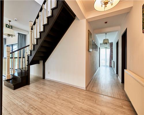 Casa de vacanta in Toplita, langa partia de schi, ideala pentru relaxare si investitie