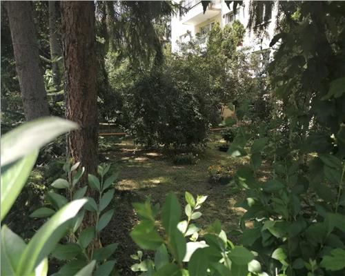 Apartament 2 camere, bloc tip vila, recent renovat, zona Parcul Central.