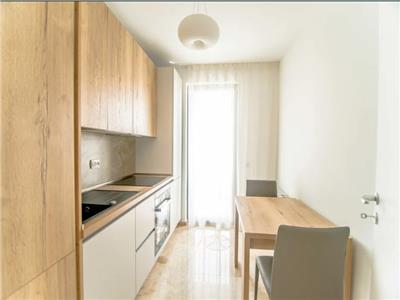 Apartament 1 camera, S 38 mp, mobilat, utilat, zona Iulius.