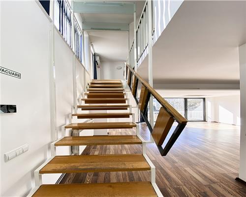 Spatiu de birouri 256 mp + terasa 52 mp, 9 camere, Zona Centrala, Gradina Botanica