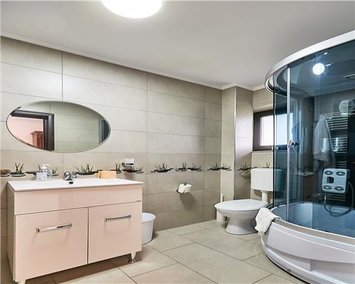 Casa de vacanta in Toplita, langa partia de schi, ideala pentru relaxare si investitie