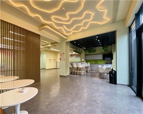 Spatiu comercial 250 mp + terasa 70 mp, Grigorescu, Parter, Ideal HoReCa / Showroom