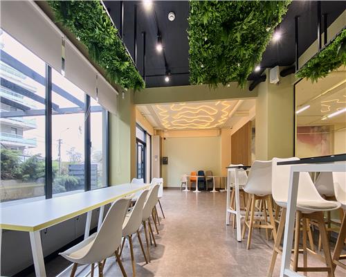 Spatiu comercial 250 mp + terasa 70 mp, Grigorescu, Parter, Ideal HoReCa / Showroom