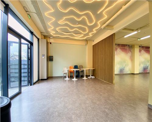 Spatiu comercial 250 mp + terasa 70 mp, Grigorescu, Parter, Ideal HoReCa / Showroom