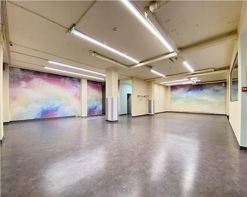 Spatiu comercial 250 mp + terasa 70 mp, Grigorescu, Parter, Ideal HoReCa / Showroom