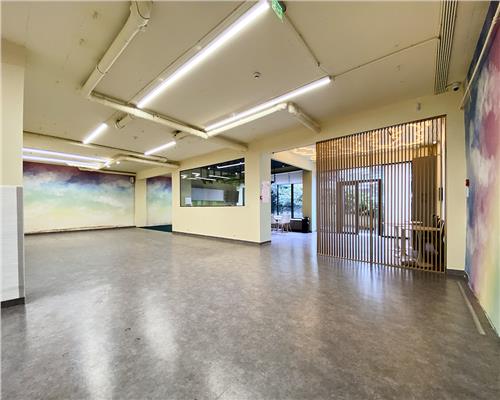 Spatiu comercial 250 mp + terasa 70 mp, Grigorescu, Parter, Ideal HoReCa / Showroom