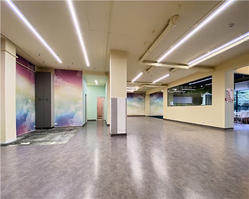 Spatiu comercial 250 mp + terasa 70 mp, Grigorescu, Parter, Ideal HoReCa / Showroom