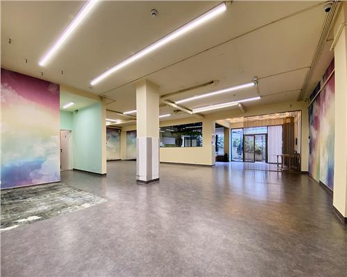 Spatiu comercial 250 mp + terasa 70 mp, Grigorescu, Parter, Ideal HoReCa / Showroom