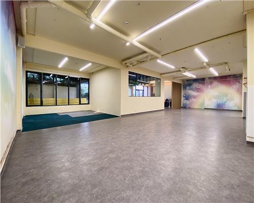 Spatiu comercial 250 mp + terasa 70 mp, Grigorescu, Parter, Ideal HoReCa / Showroom