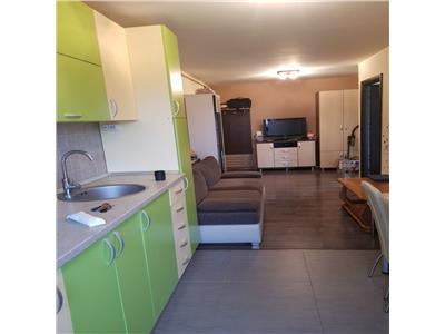 Apartament 1 camera, 46 mp + terasa de 54 mp, 2/4, Marasti